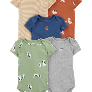 Kit body bebê 5 peças raposa multicor |