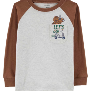 Blusa infantil manga longa dinossauro cinza |